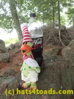/home//u458753944/public_html/sourcegallery////////////////////////////Chickens/Soda Addiction/P7251227.JPG